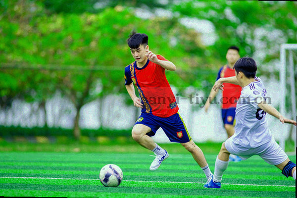 足球场线条与欧洲联赛抽象徽章叠合的数据图形